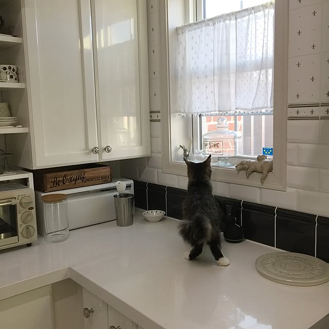 yuchiさんの実例写真