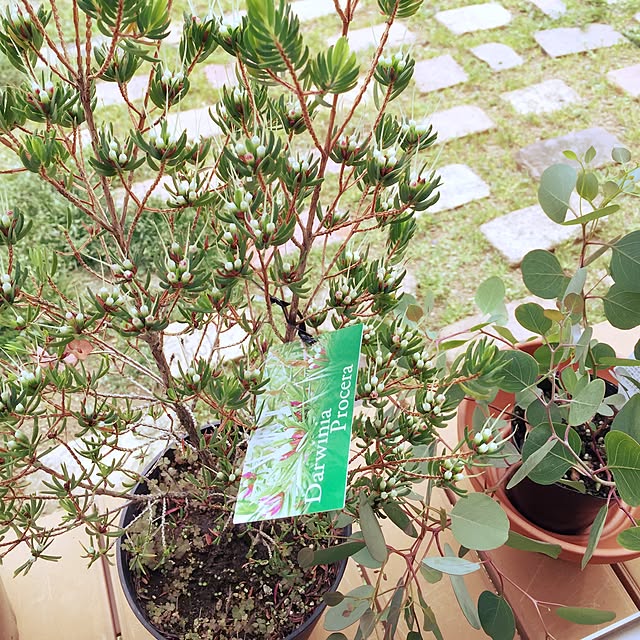 marley0209さんの実例写真