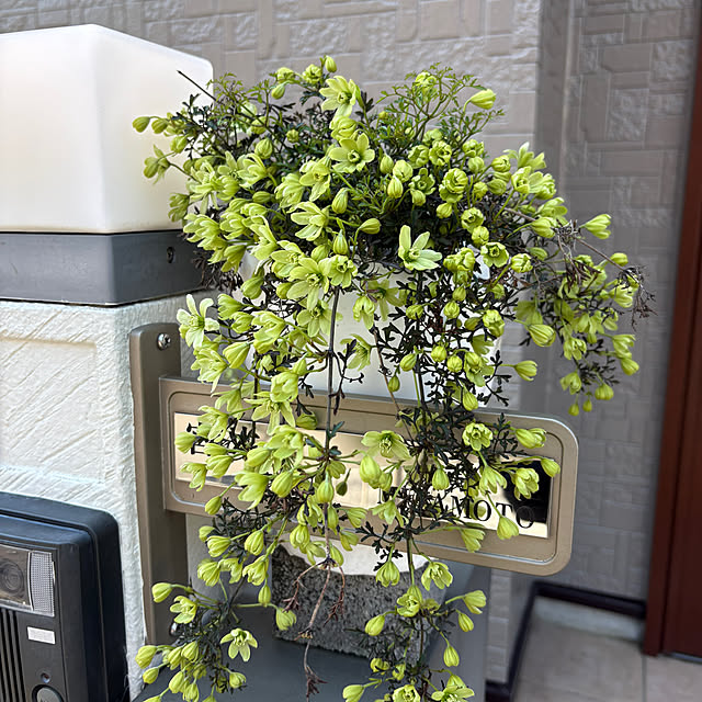 megumiさんの部屋