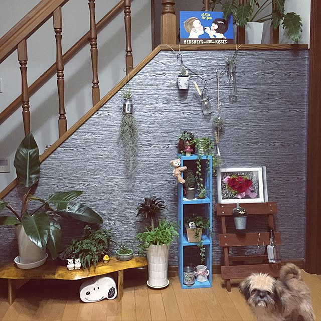 tomoharuさんの実例写真