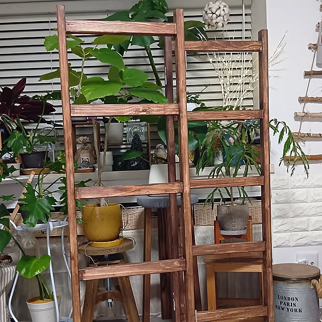 tomomiさんの部屋