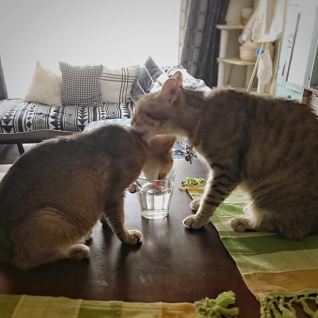 1633さんの実例写真