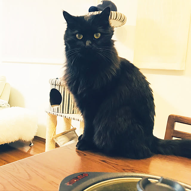 minamiさんの実例写真