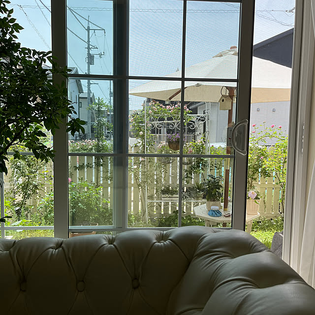 sakuraさんの部屋