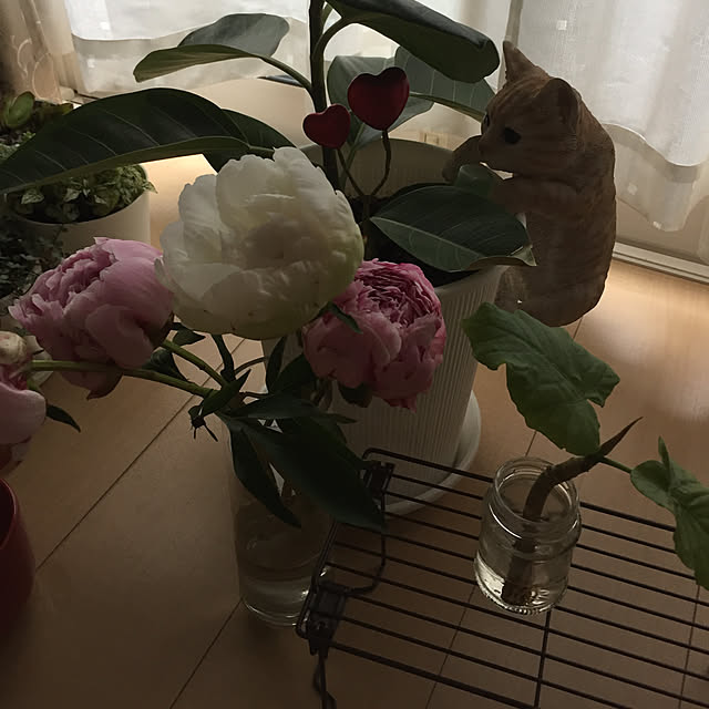 emiさんの実例写真