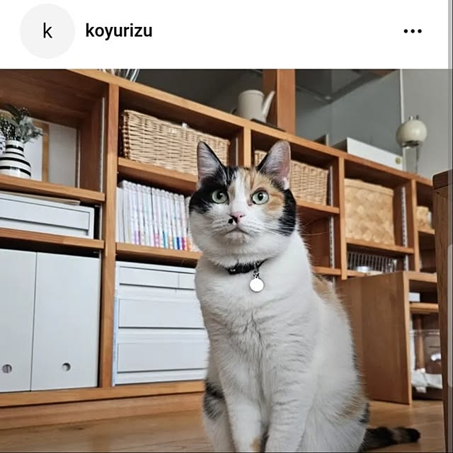 koyurizuさんの実例写真