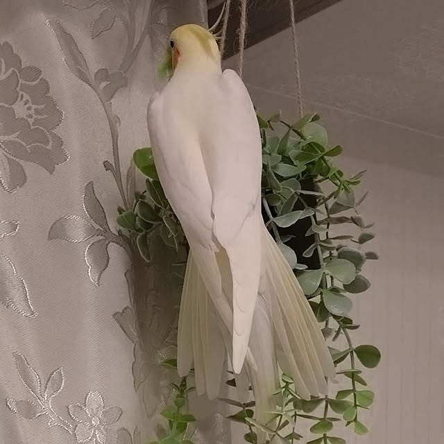 toratanさんの部屋