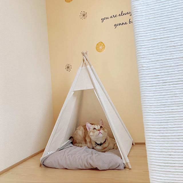 m.k.mさんの実例写真