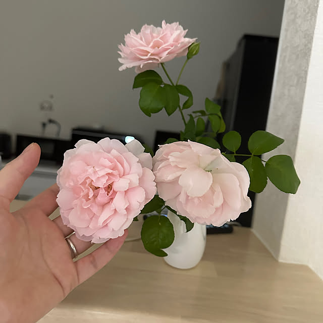 Hさんの実例写真