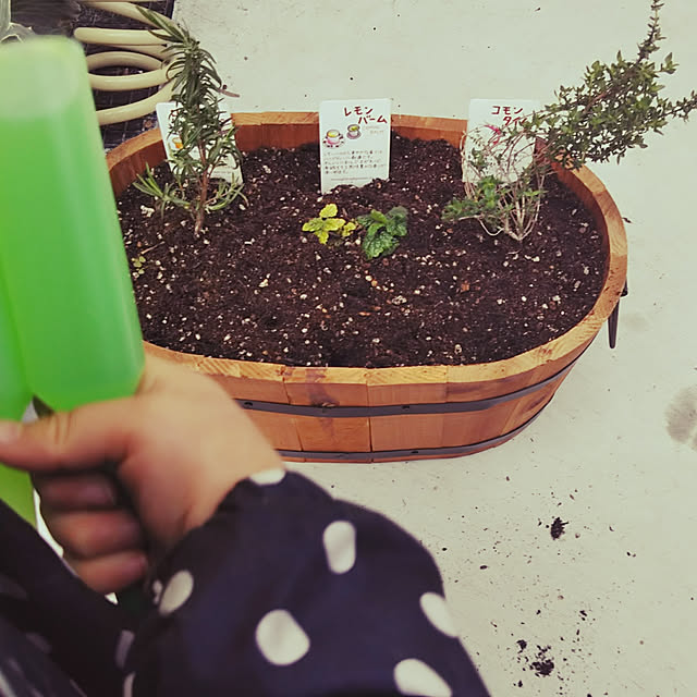 玄関/入り口/コーナン/ハーブのある暮らし/寄せ植え初心者/みどりのある暮らしのインテリア実例 - 2019-03-29 14:20:23