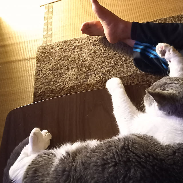 rhuさんの実例写真