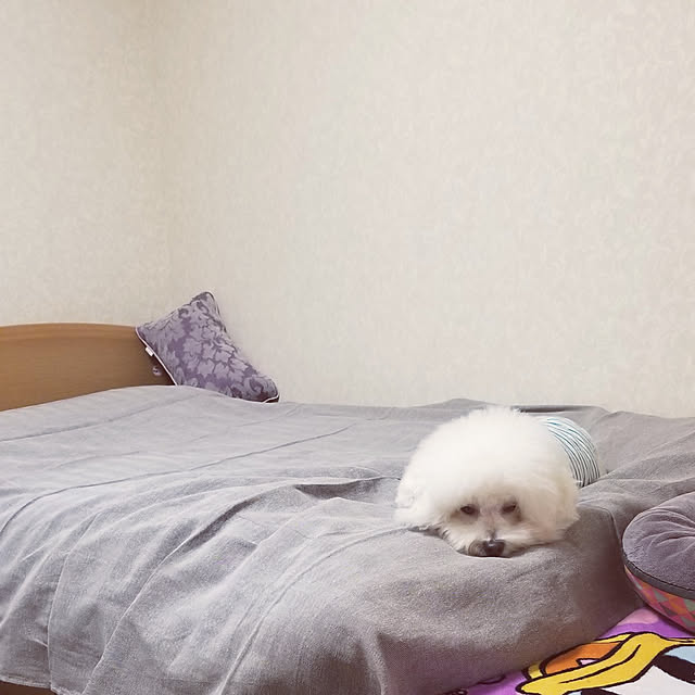 takoさんの実例写真
