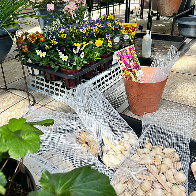 violetさんの部屋