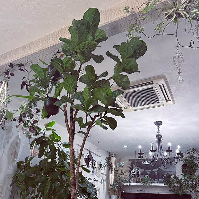 usakoさんの部屋