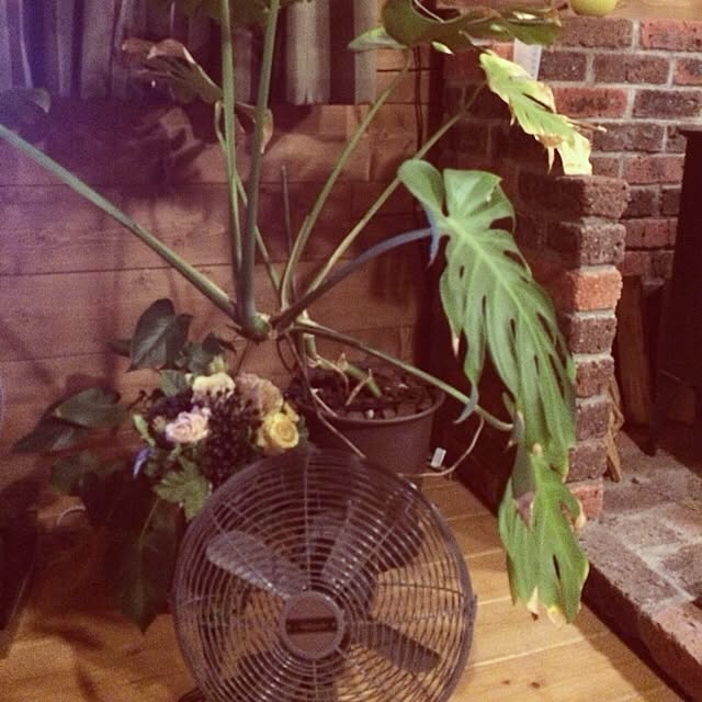 natumikanさんの実例写真
