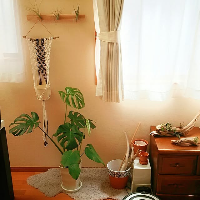 ssさんの実例写真