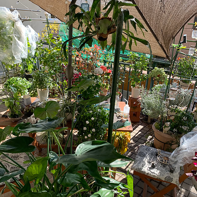 Aqettyさんの部屋