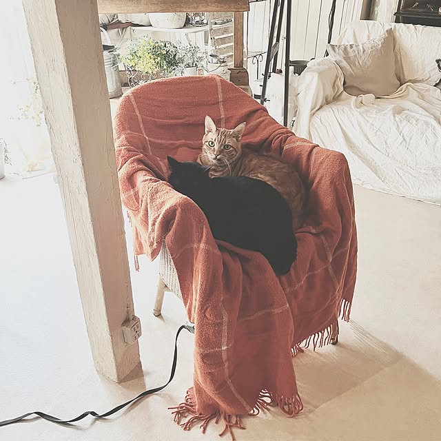 ataさんの実例写真