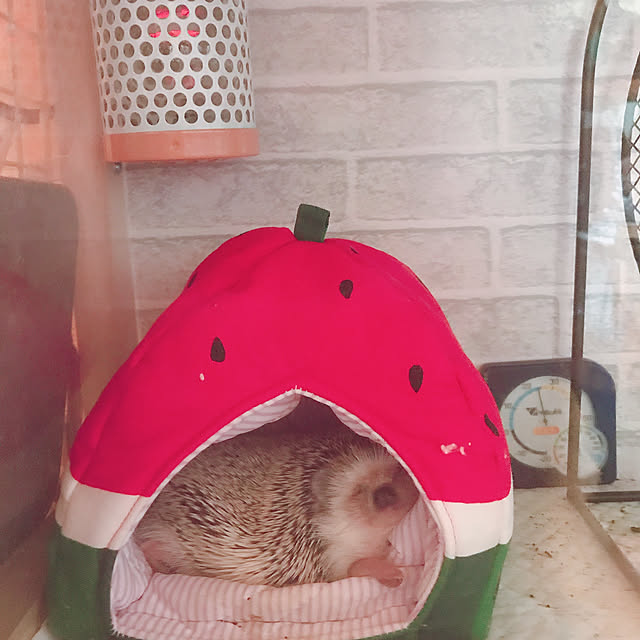 ManabenoLMさんの実例写真