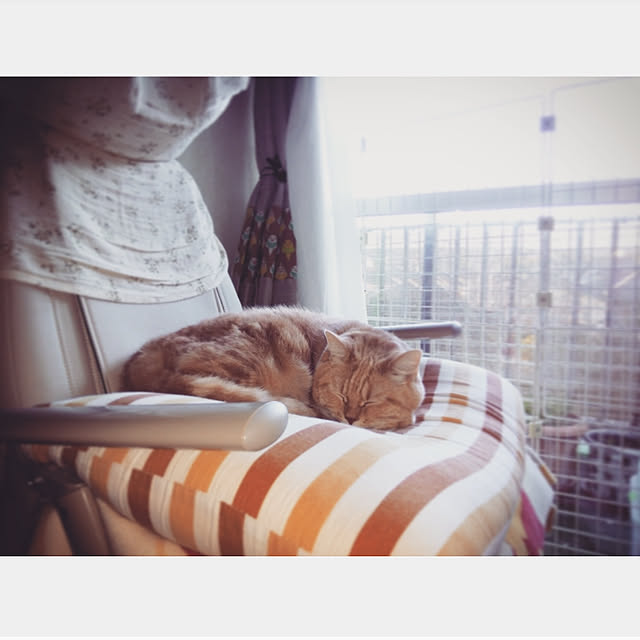 mntcさんの実例写真