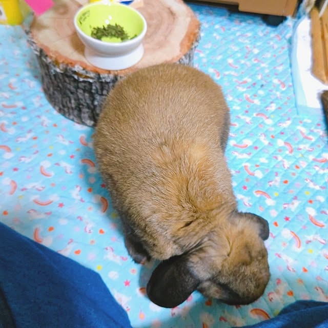 mariaさんの部屋