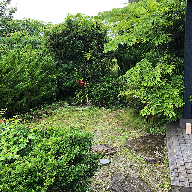 riro.rori.さんの実例写真