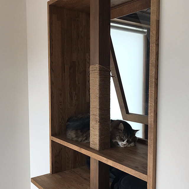 micさんの実例写真