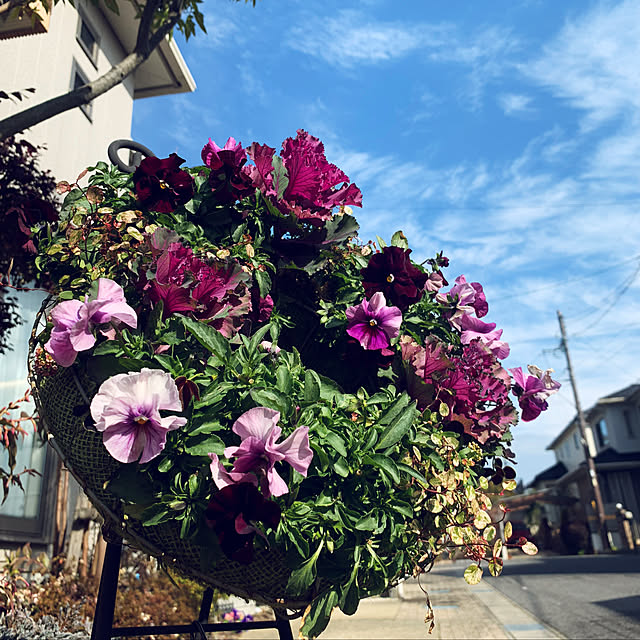 yukarin-gardenさんの実例写真