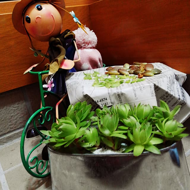 takakotachiさんの実例写真