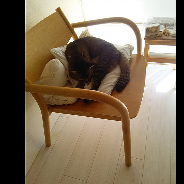 catloveさんの実例写真