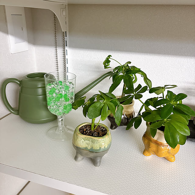 tomatoさんの部屋