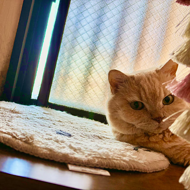 naokoさんの部屋
