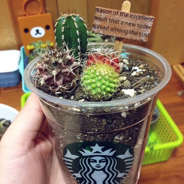 CHIROさんの実例写真