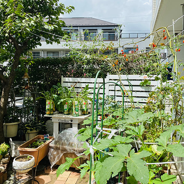 dodoさんの部屋