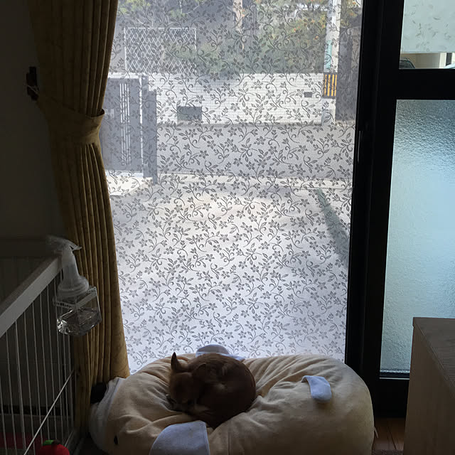 koroさんの実例写真