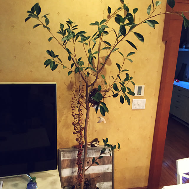 tomomyさんの実例写真