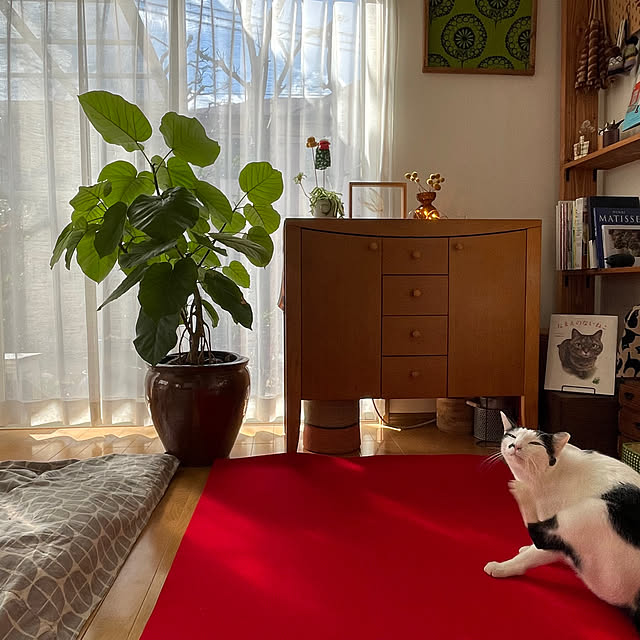 nobikoさんの部屋