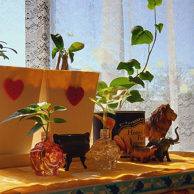 kumutanさんの実例写真