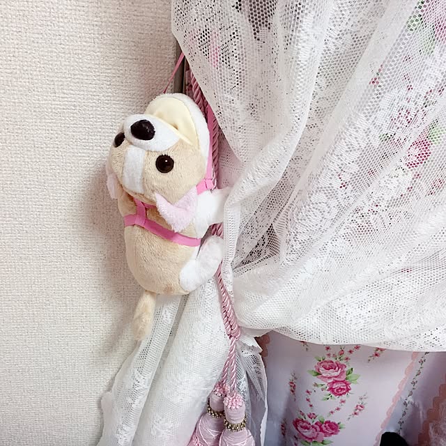 Luさんの実例写真
