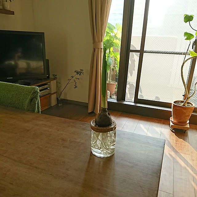gonntaさんの実例写真