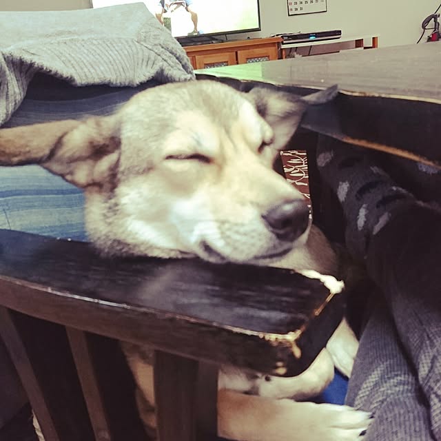 andさんの実例写真