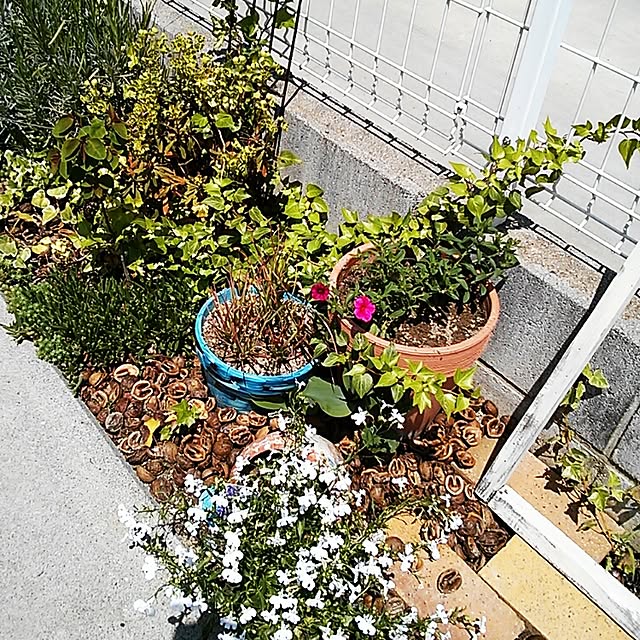 hiroさんの実例写真