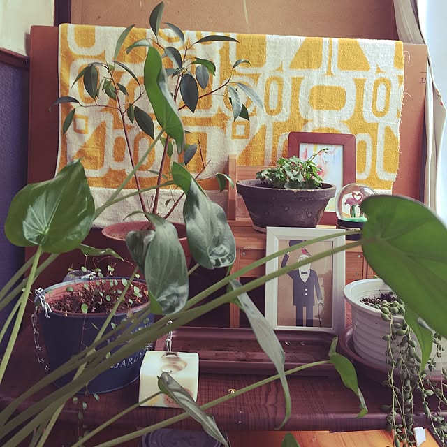 natural-sinple.28さんの実例写真