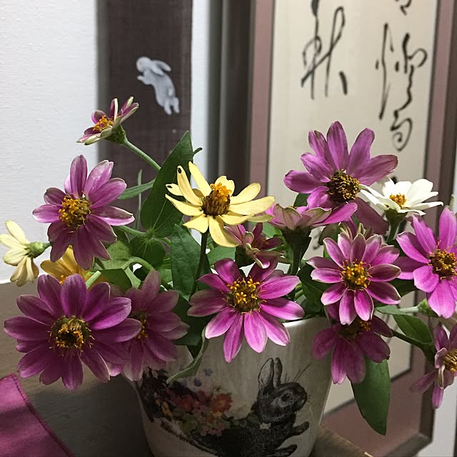 mayuroseさんの実例写真