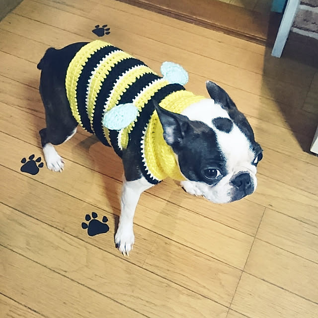 maiさんの実例写真