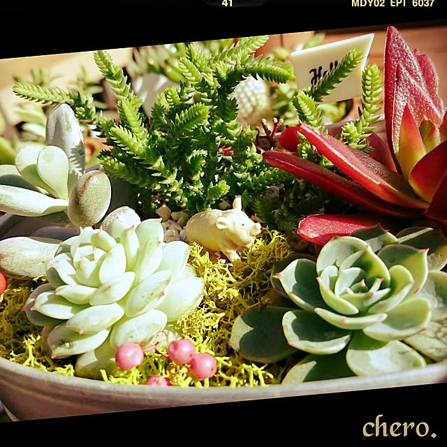 chero.さんの実例写真