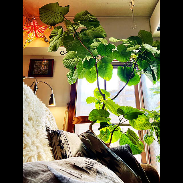 tarezo33さんの実例写真