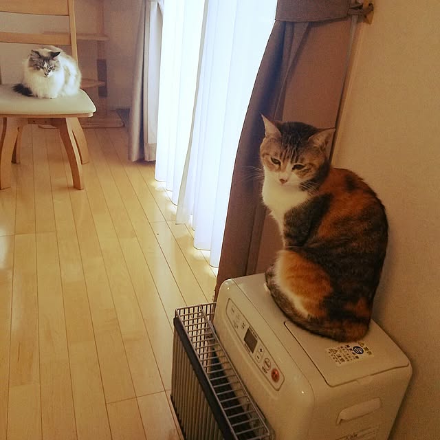 123sgnbさんの実例写真