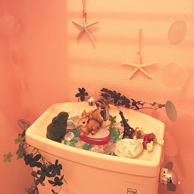 バス/トイレ/DIY/100均/ダイソー/セリア...などのインテリア実例 - 2018-06-13 12:38:27