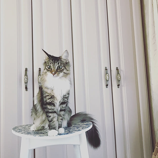 Akie.otsukaさんの実例写真